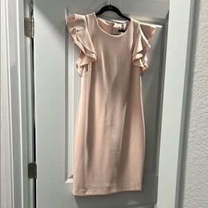 Elegant Ruffle Sleeve Dress in Light Pink